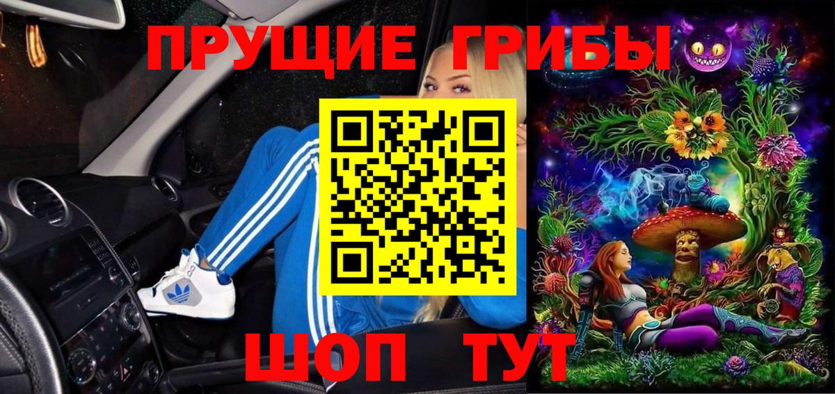 цена наркотик  Псилоцибиновые грибы Cubensis  Вход с VPN  Нижнеудинск  Галлюциногенные грибы MAGIC MUSHROOMS 